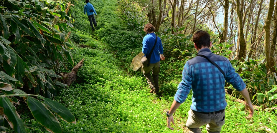 three people hike in woods