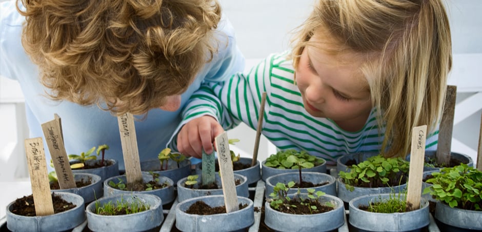 young children examine seedlings in pots