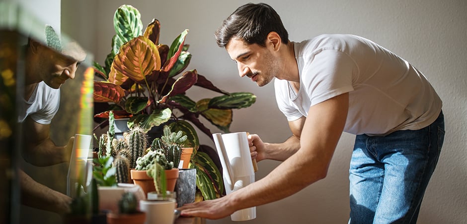 a young man, wearing a T-shirt and jeans, leans over to water his houseplants