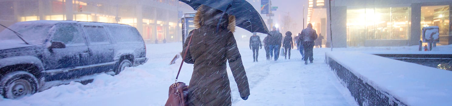a woman with an umbrella walks down a snow covered road through heavy snow