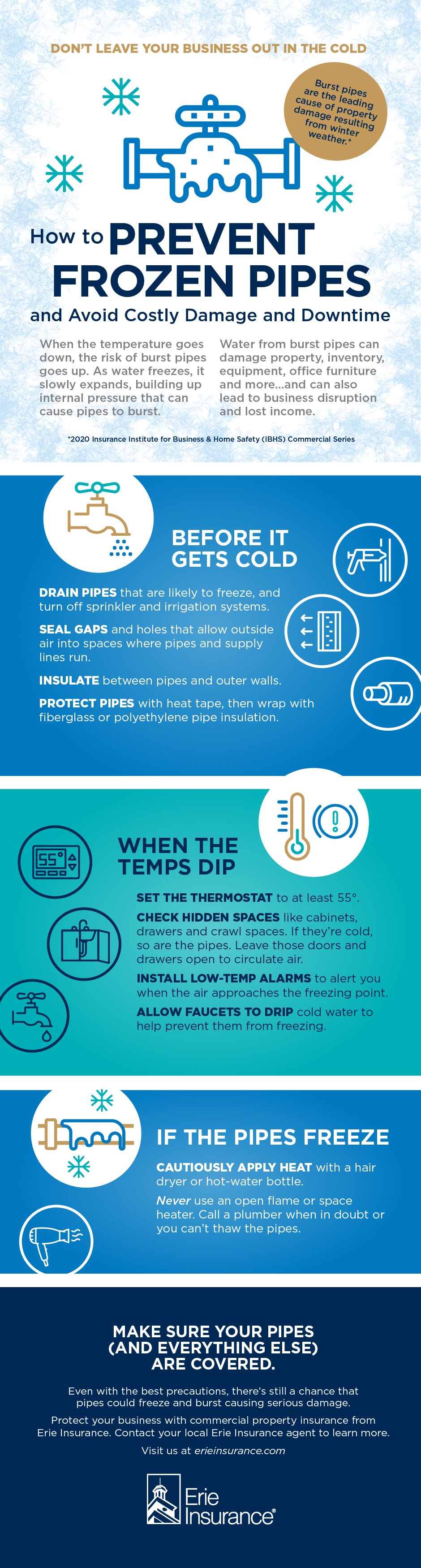 frozen pipes infographic