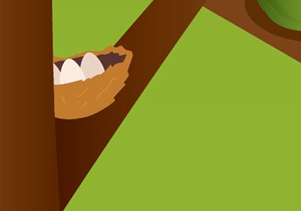 cartoon bird nest on a tree branch