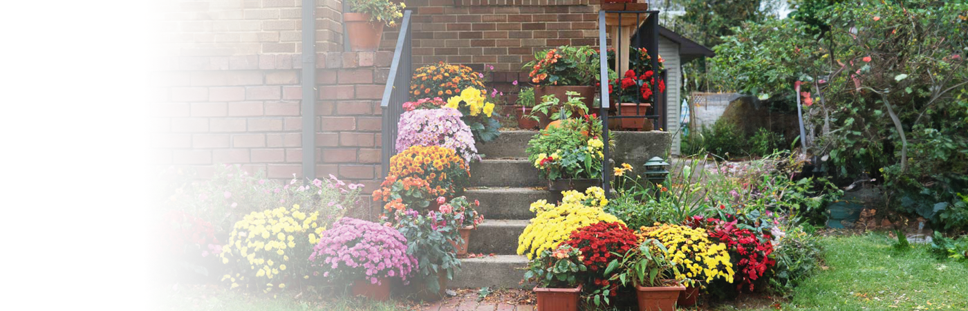 Porch lined with flower pots
