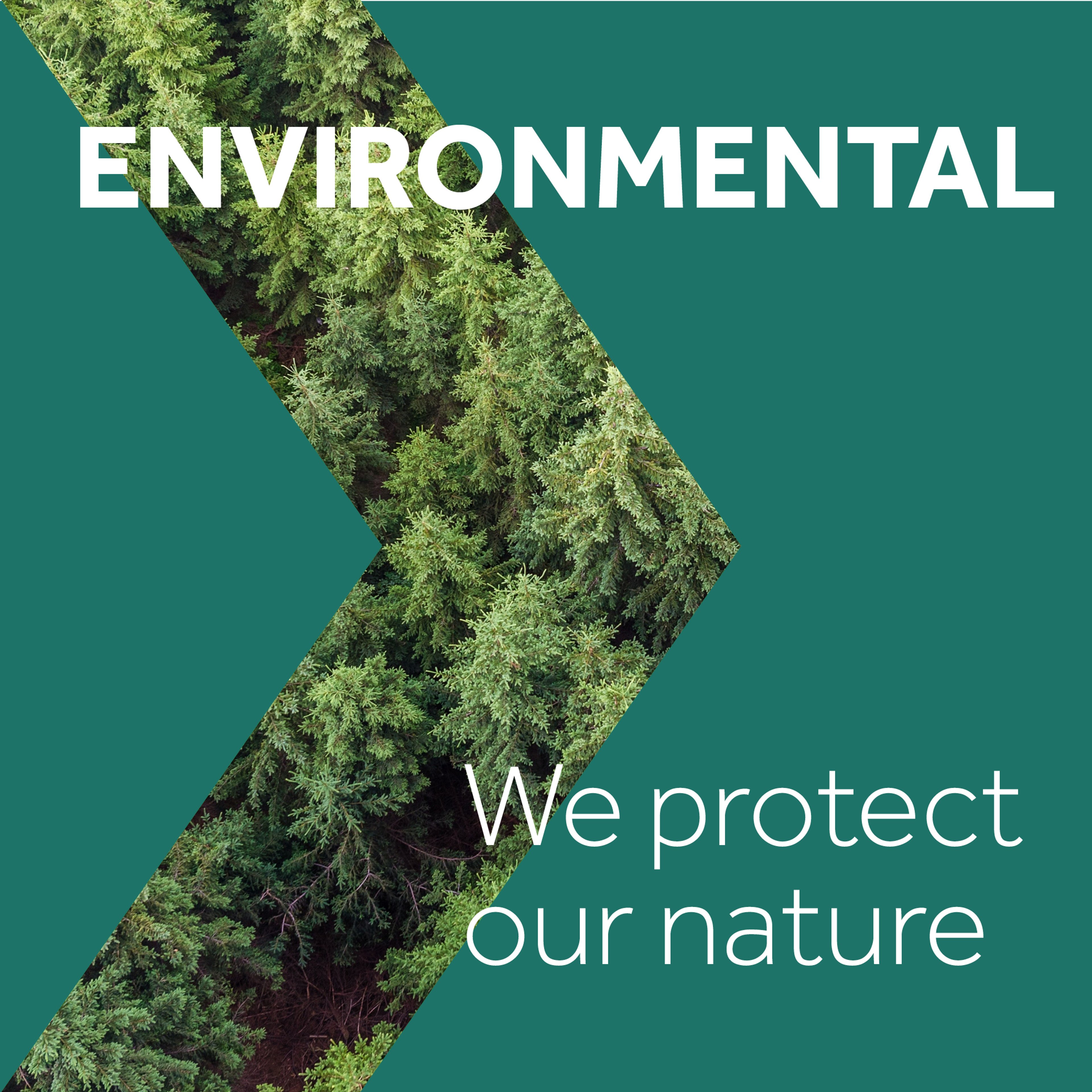 Graph showing a picture of forest in background and the words Environmental, We protect our nature