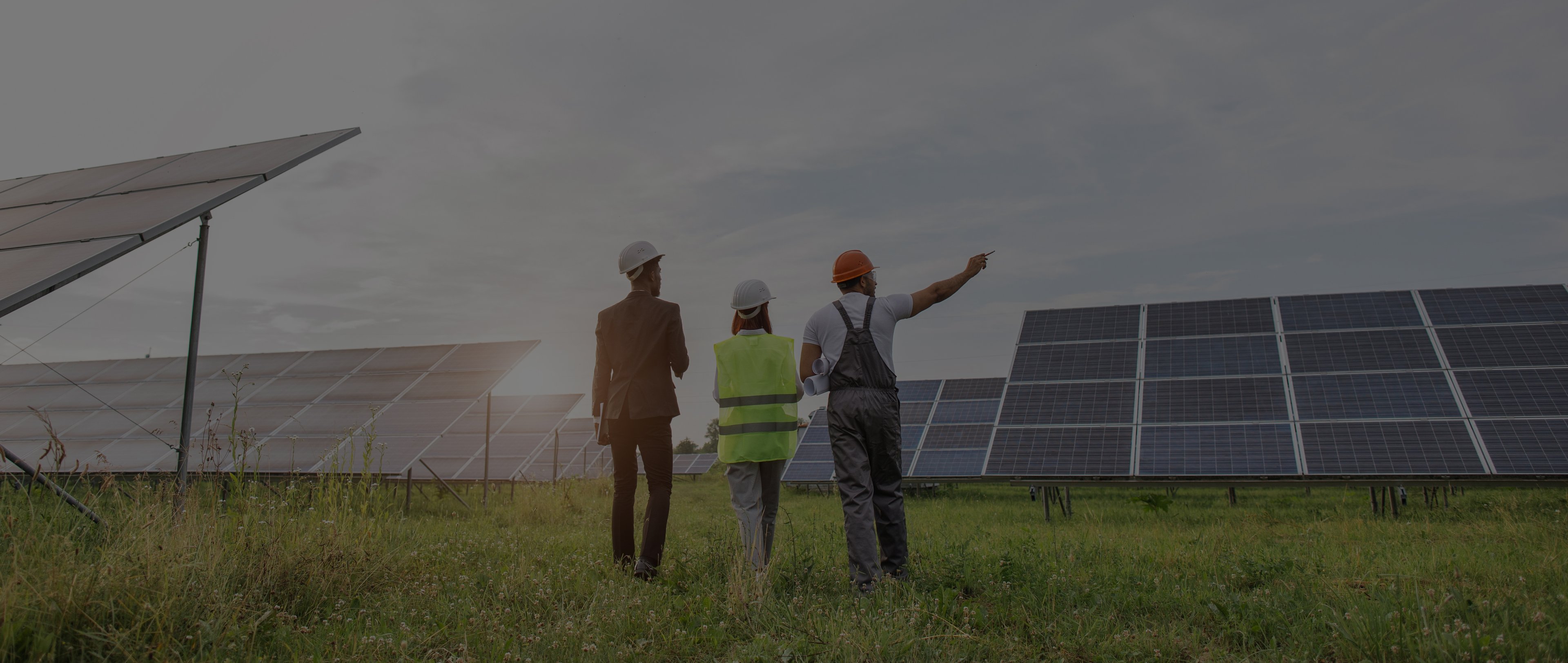 People walking through a solar farm