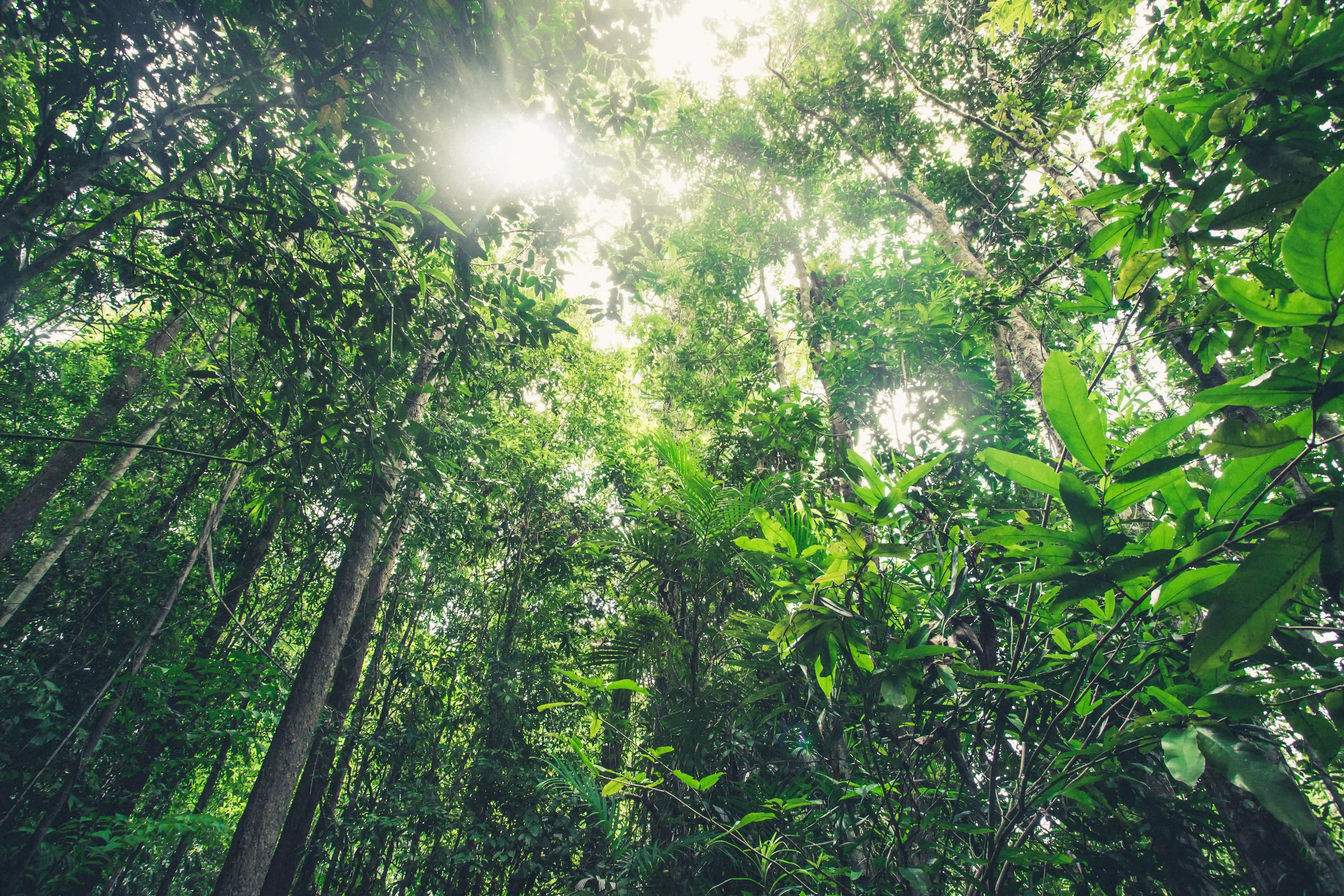 Fostering of sustainability