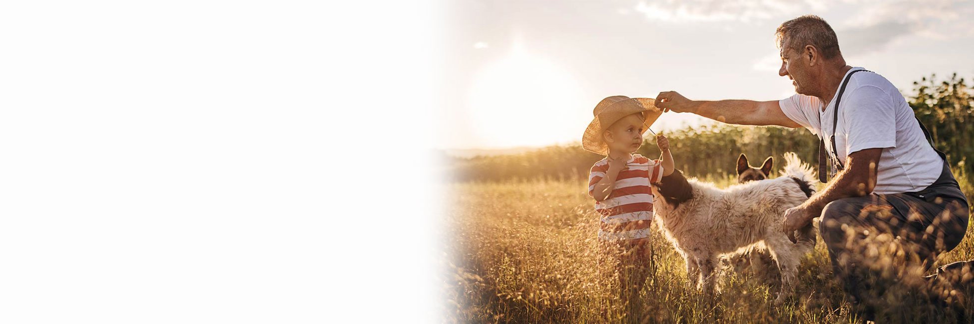 A boy playing in the field with Grandfather.