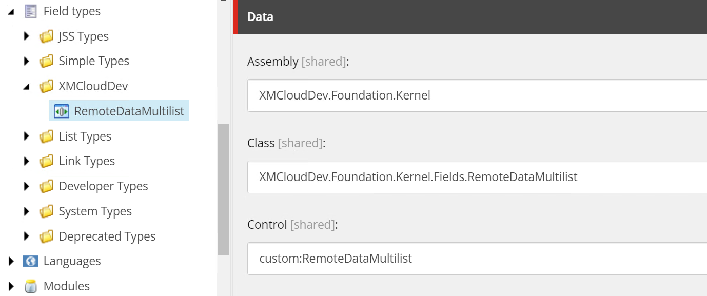 Sitecore XM Cloud and Experience Edge Custom Fields