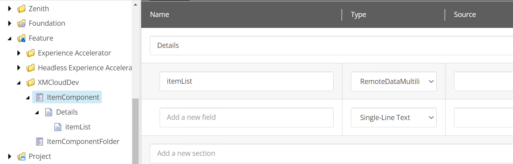 Sitecore XM Cloud and Experience Edge Custom Fields