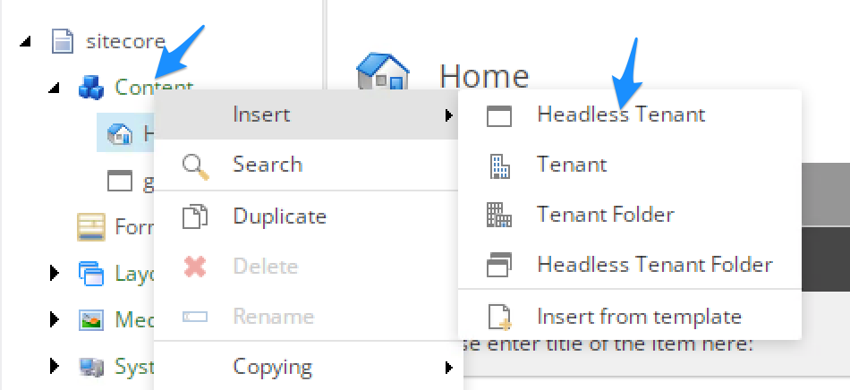 Select a Headless Tenant