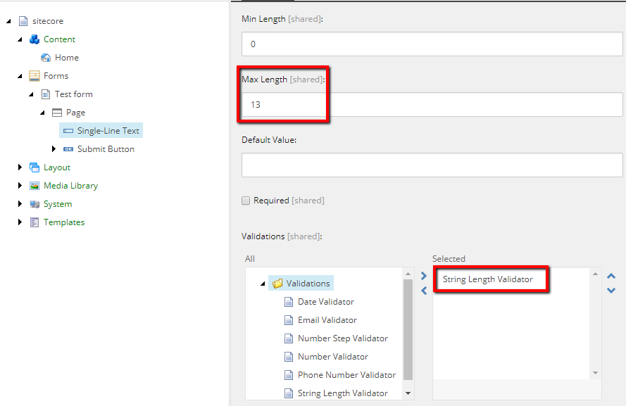 Sitecore Forms Server Side Validation