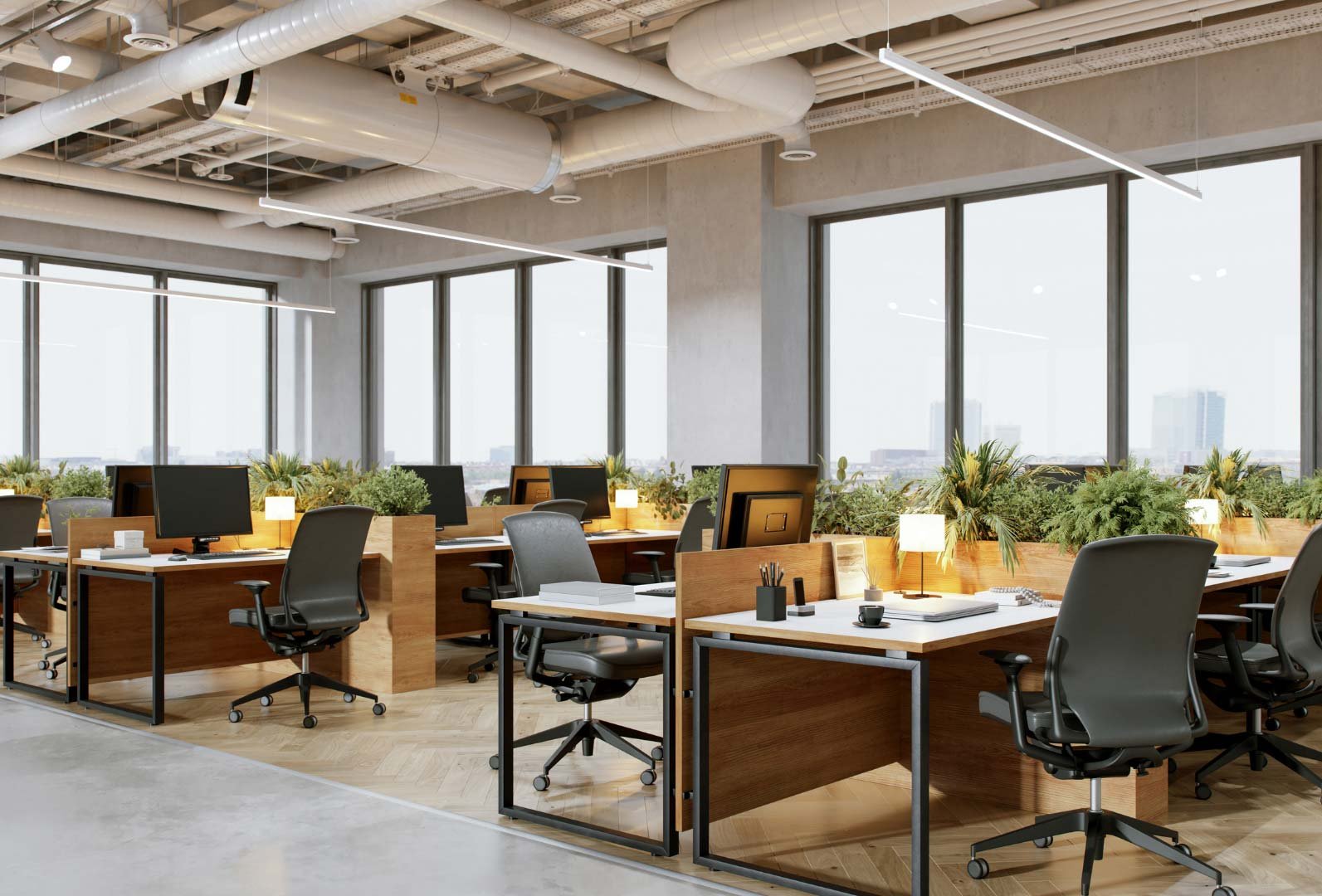 Spacious office with large windows, plants, and neatly arranged workstations