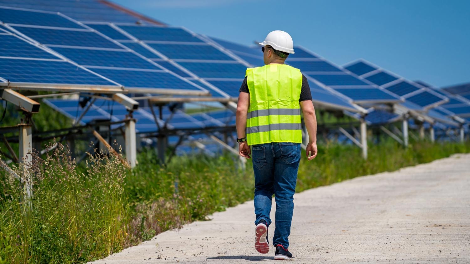 A worker in a safety vest walking past a field of solar panels