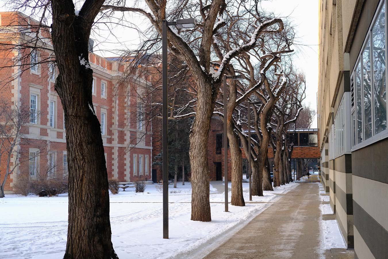 Rutherford Library University of Alberta