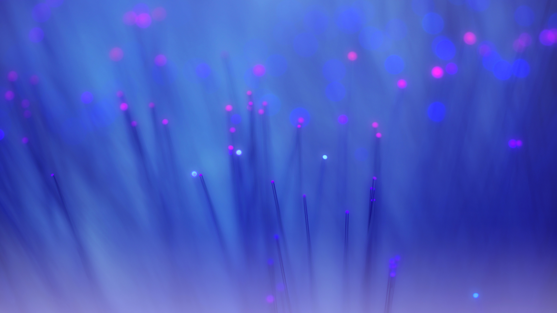 Blue background with fiber-optic cable ends