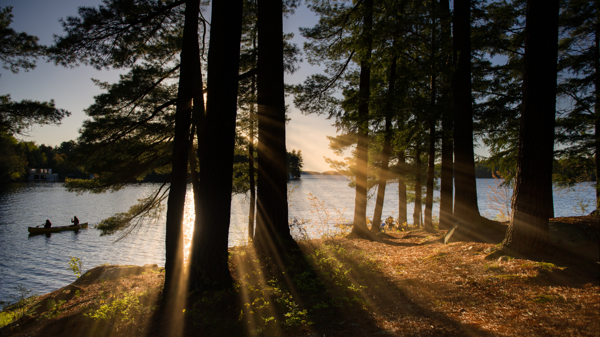 A canoe paddling on a lake behind some trees at sunset