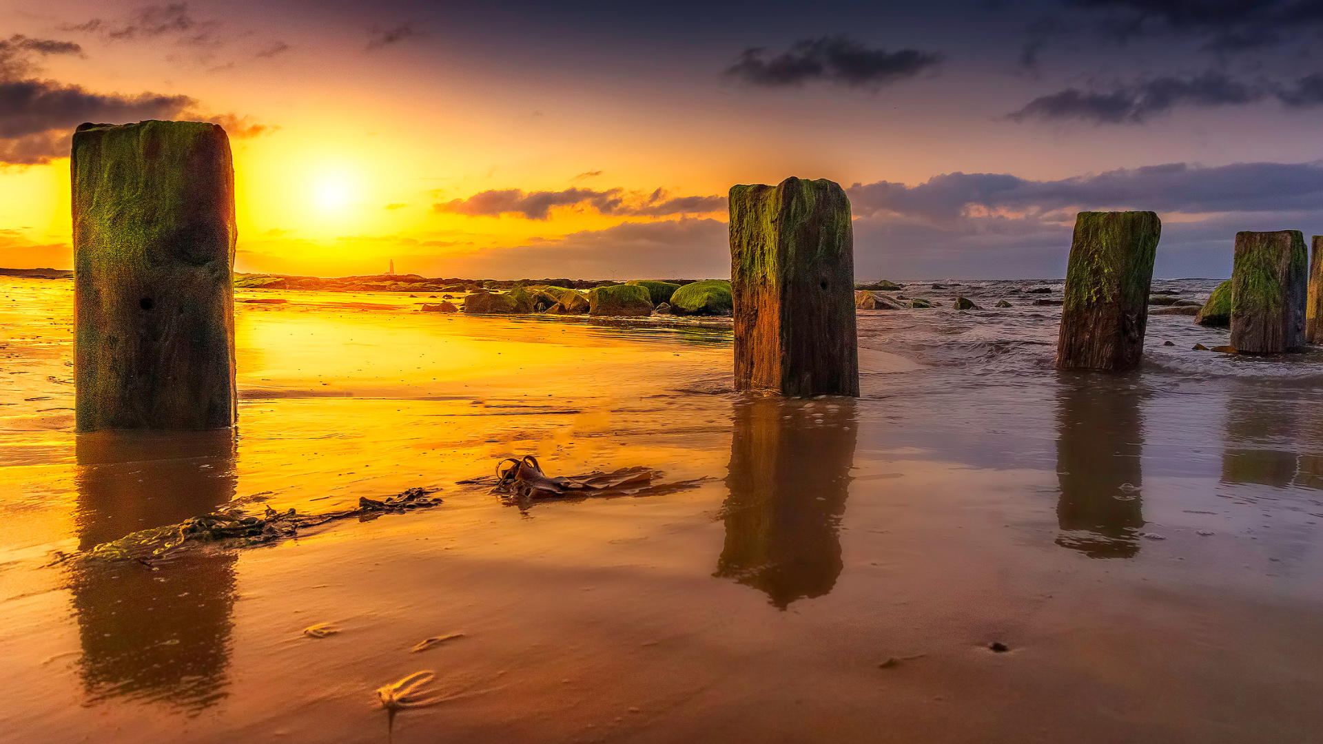 Picture of a beach at sunset. Multiple moss-covered pillars are stuck in the surf, water seeping around them on the wet sand