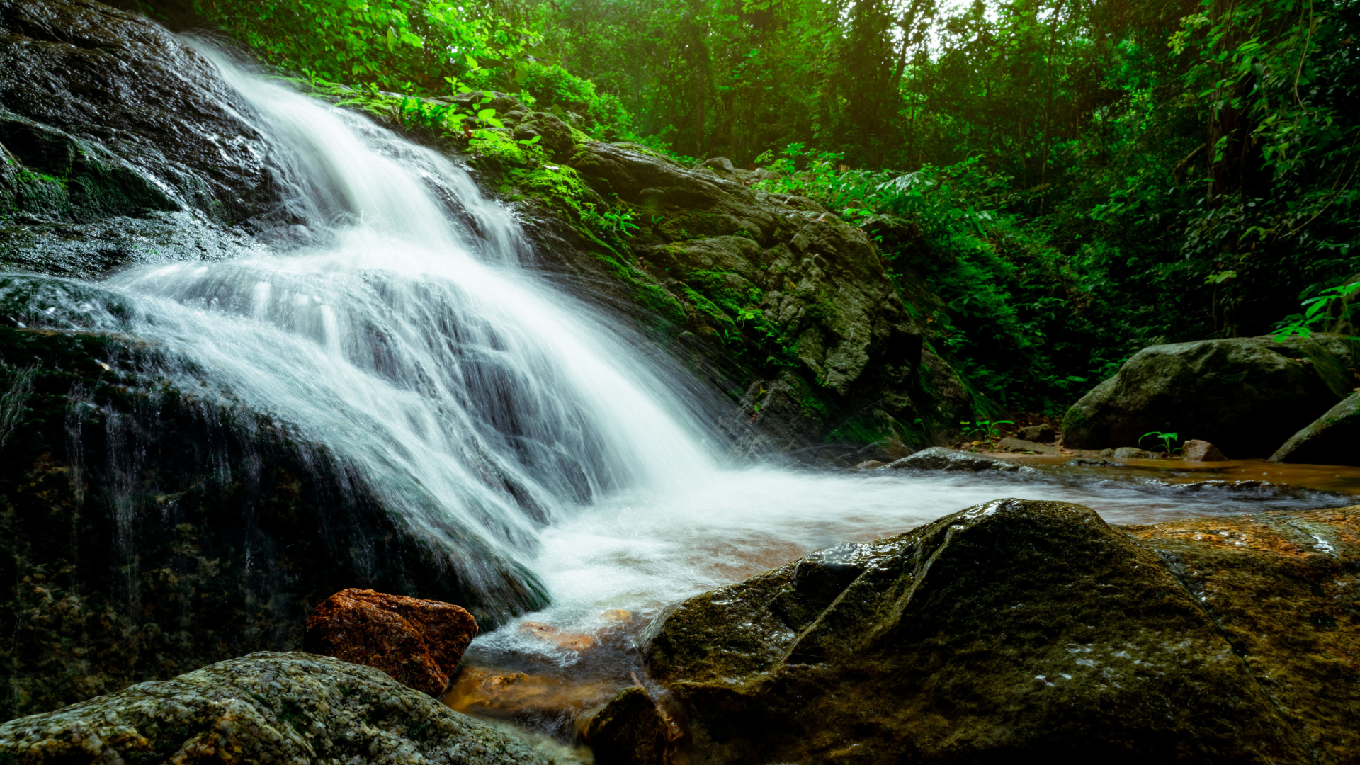 Short waterfall cascading into a stream in the woods