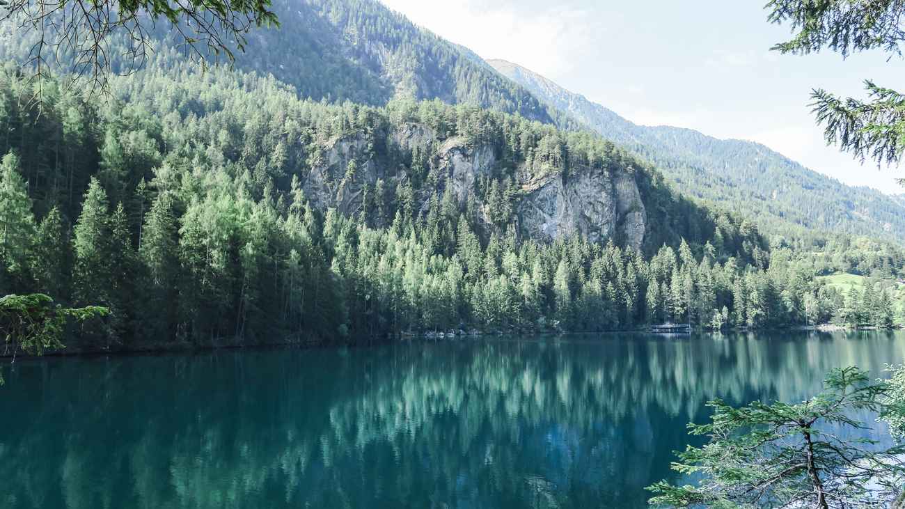 Treeline over a lake