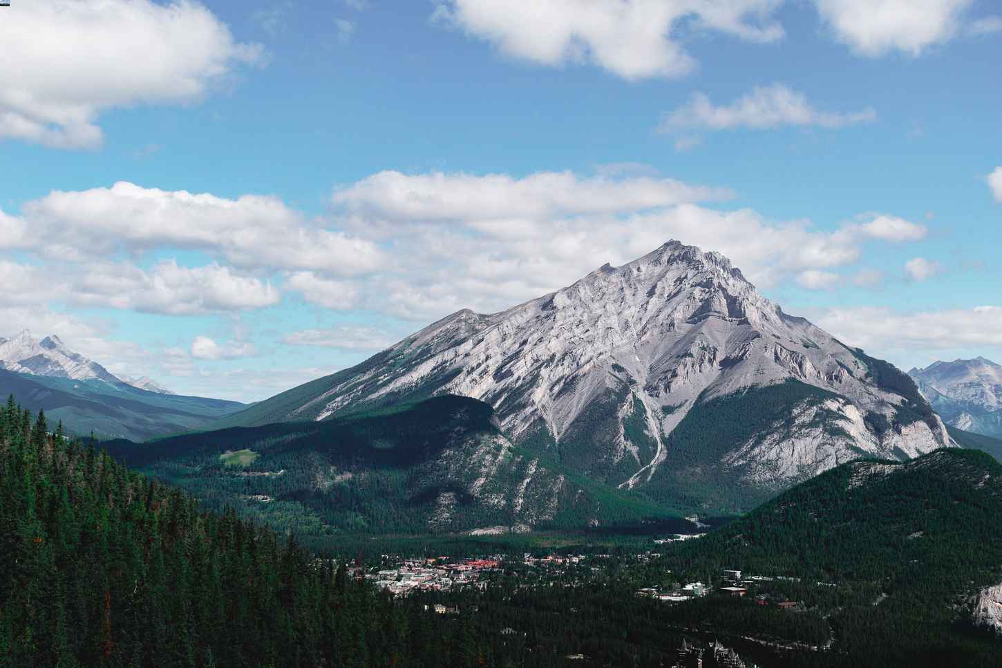 Big mountain surrounded by trees
