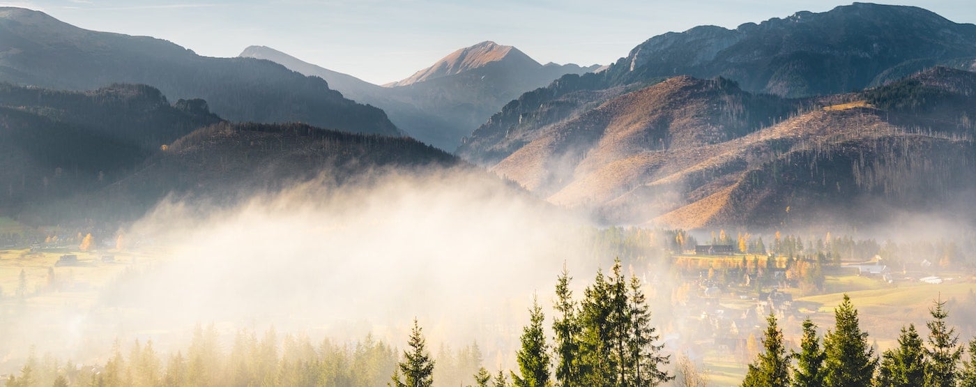 Sunny day in the mountains with a mist through trees