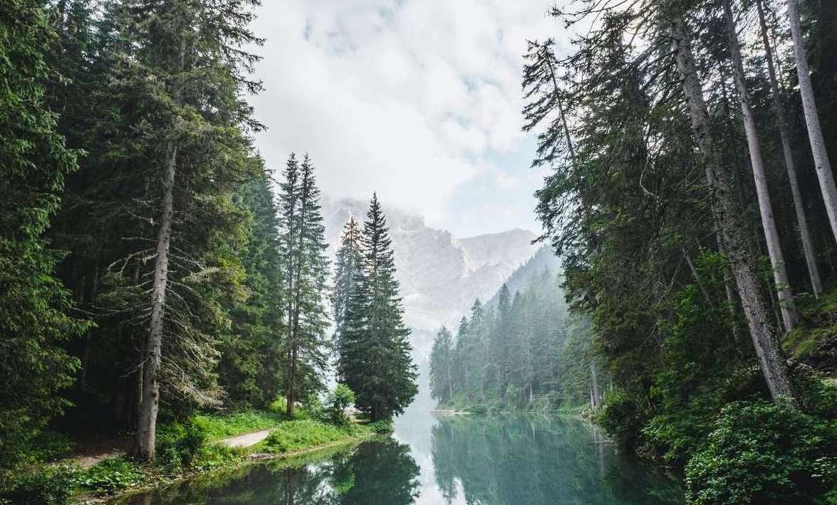 Landscape image of a lake in a forest in the mountains