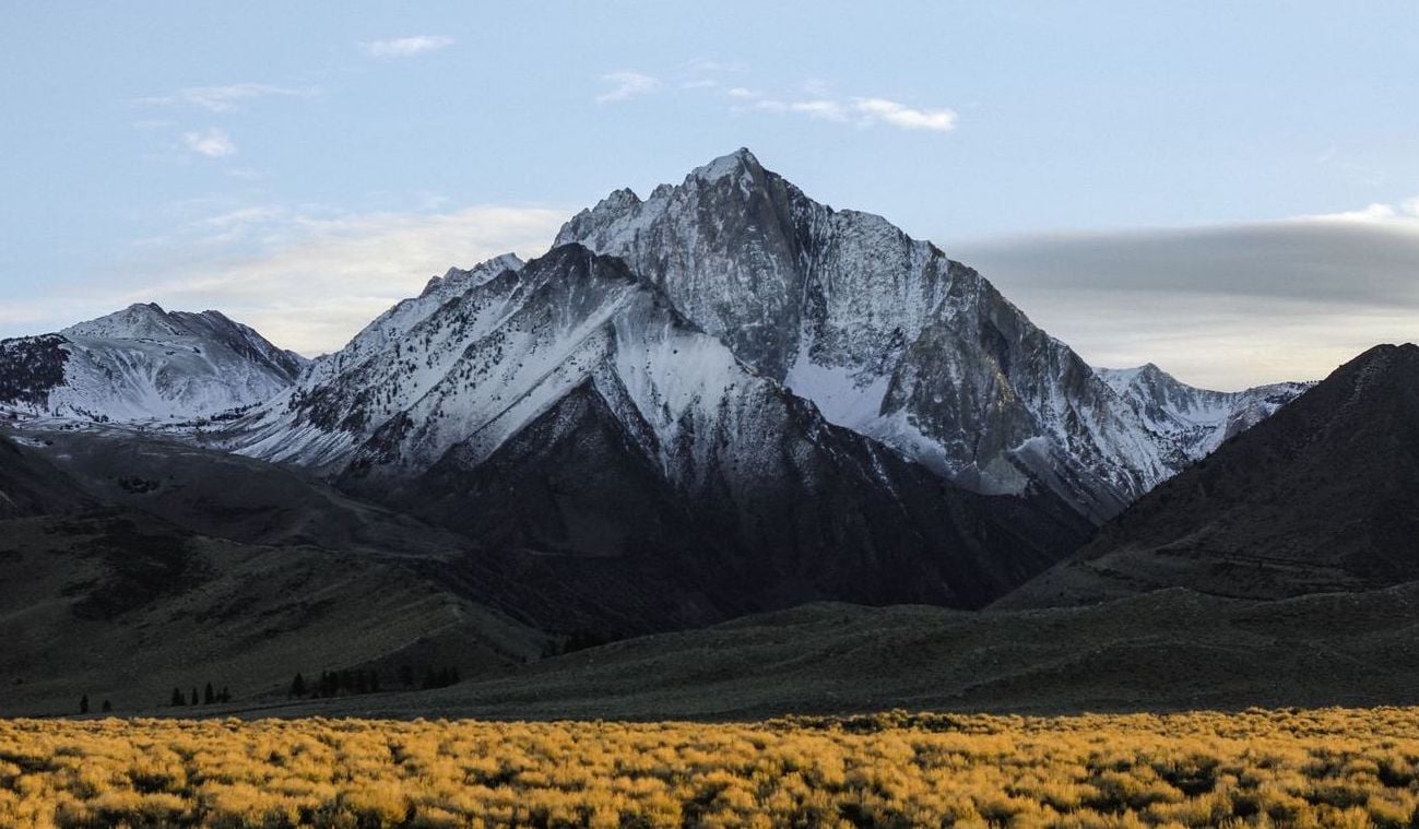 Big mountain landscape with a field of bushes in the foreground 