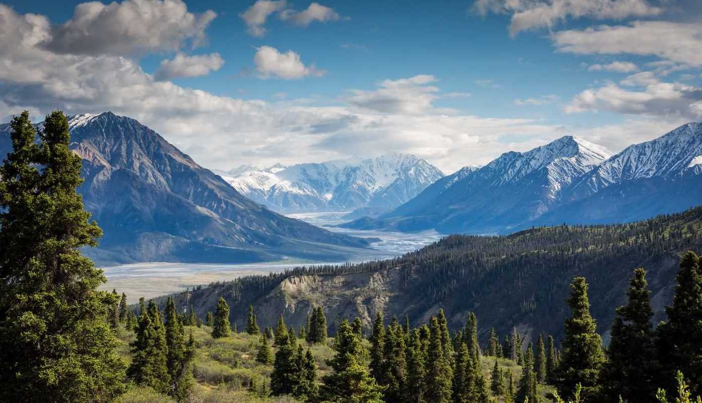 Mountain Valley With Trees 