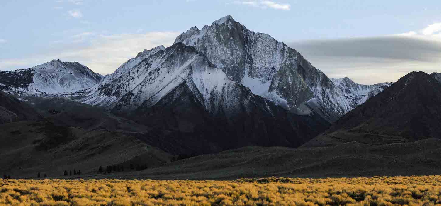 Yellow Flowers And Mountain