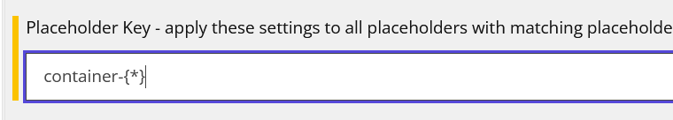 Screenshot of a user interface showing placeholder key settings with the text 'container-{*}