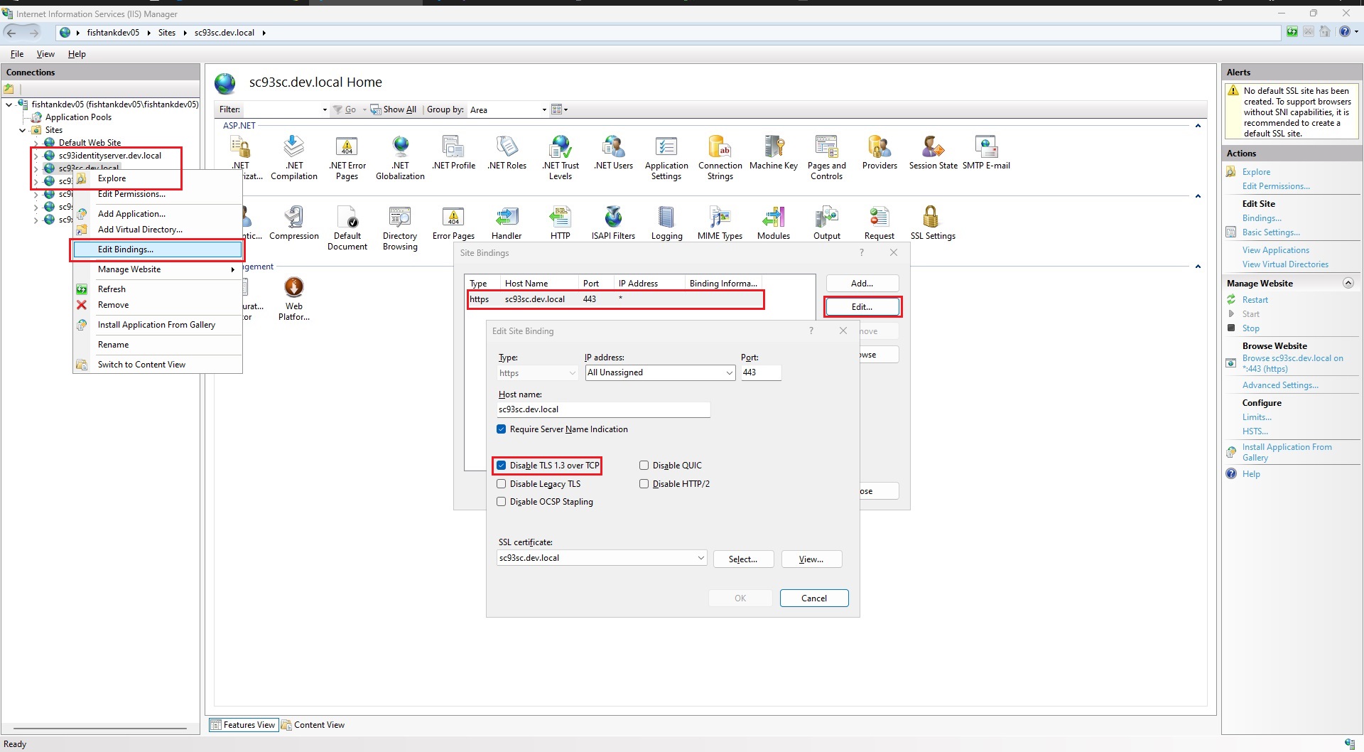 IIS fix for err_ssl_key_usage_incompatible (solution image)