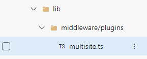 Screenshot of a directory structure highlighting the file multisite.ts in the middleware/plugins folder.
