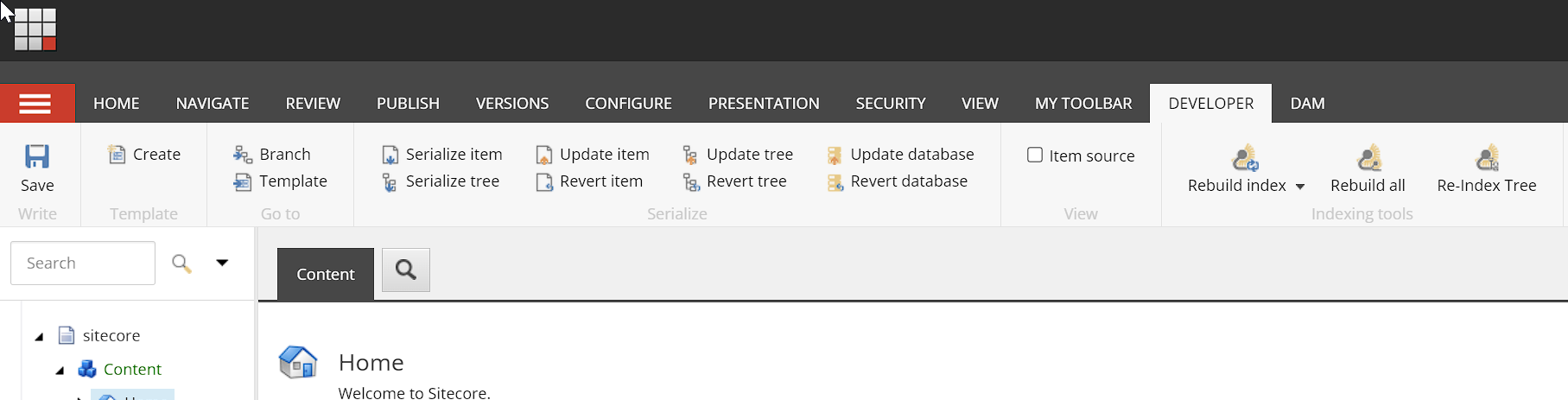 Sitecore content editor displaying the Developer tab with various tools.