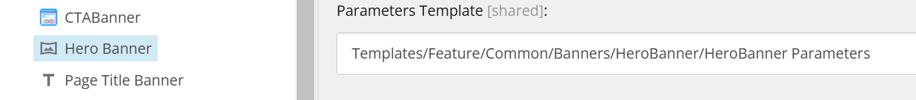 Image of Hero Banner linked to parameters template under Editor Options