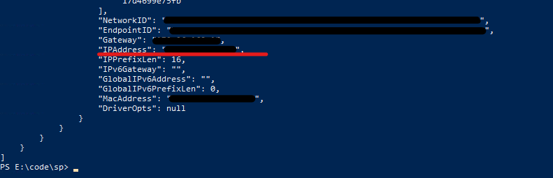 Screenshot of a terminal showing the output of the docker inspect command