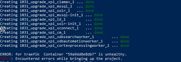 Screenshot showing a terminal output but an error is displayed for the Traefik container
