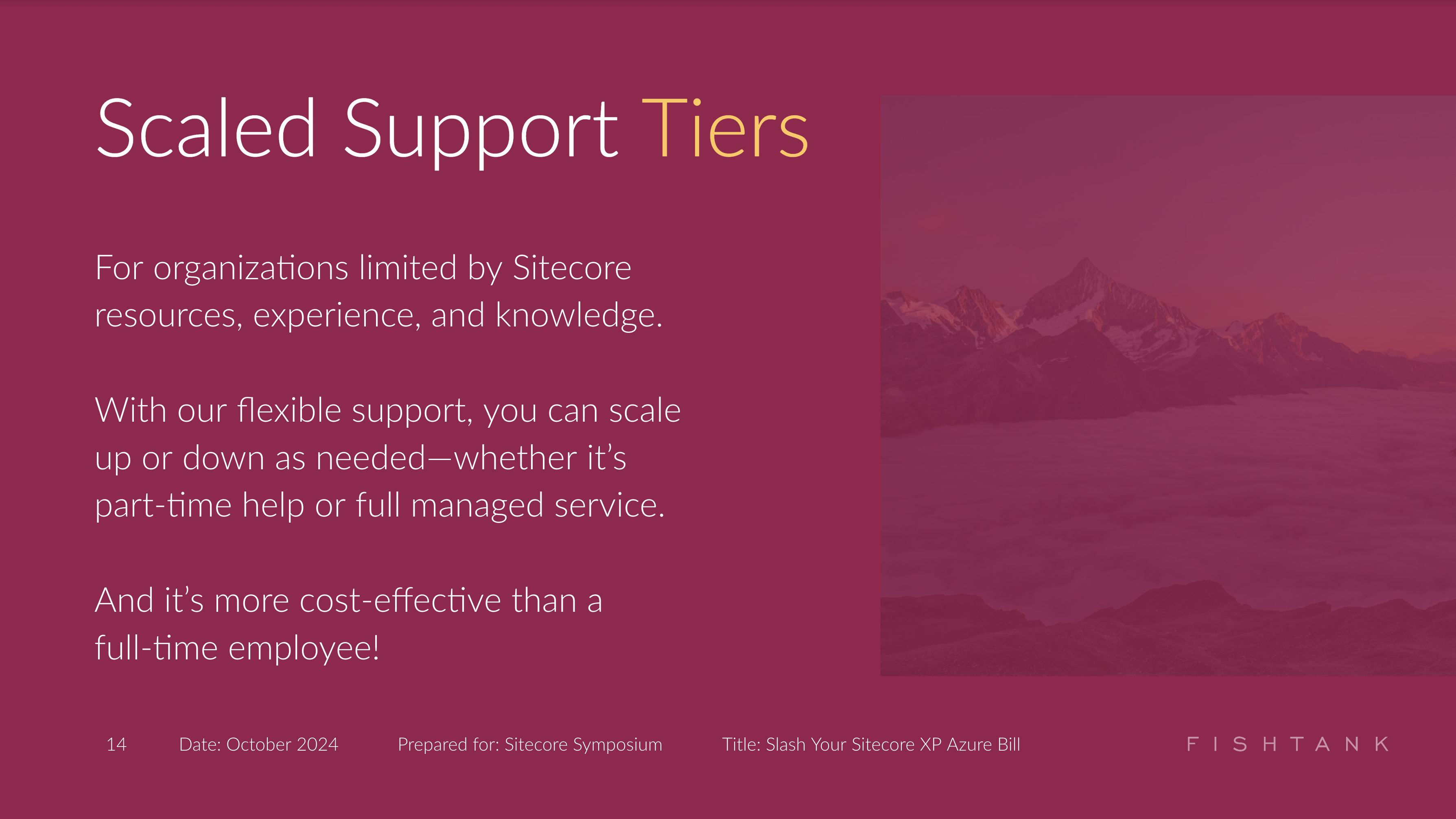 Flexible Sitecore support tiers with part-time or full managed services, tailored for cost efficiency.