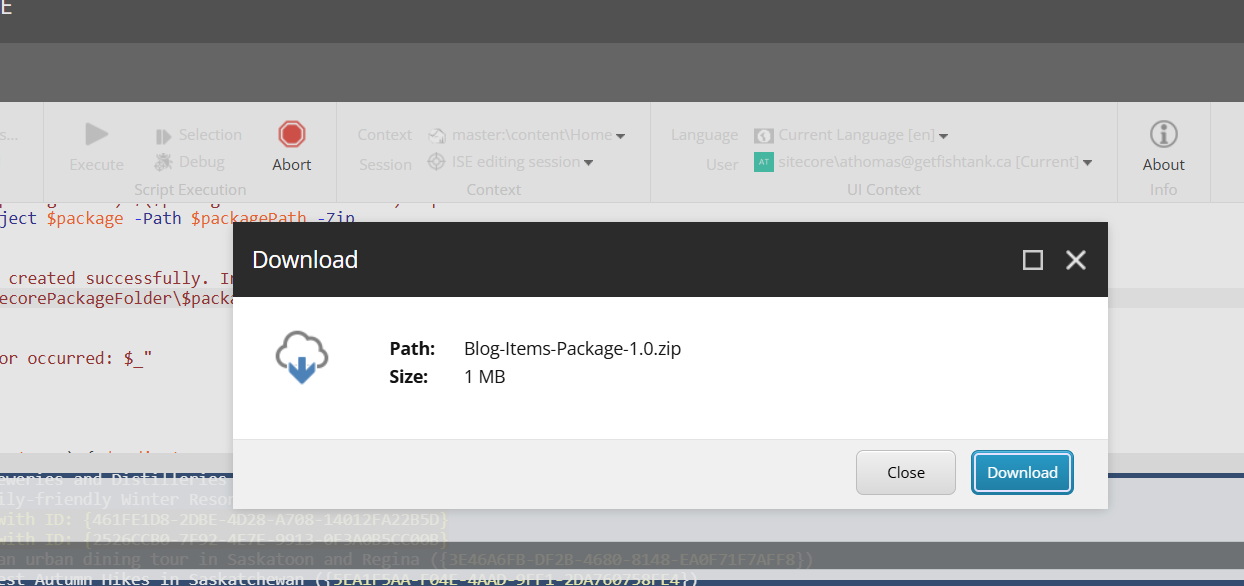 Screenshot of Sitecore package ready for download