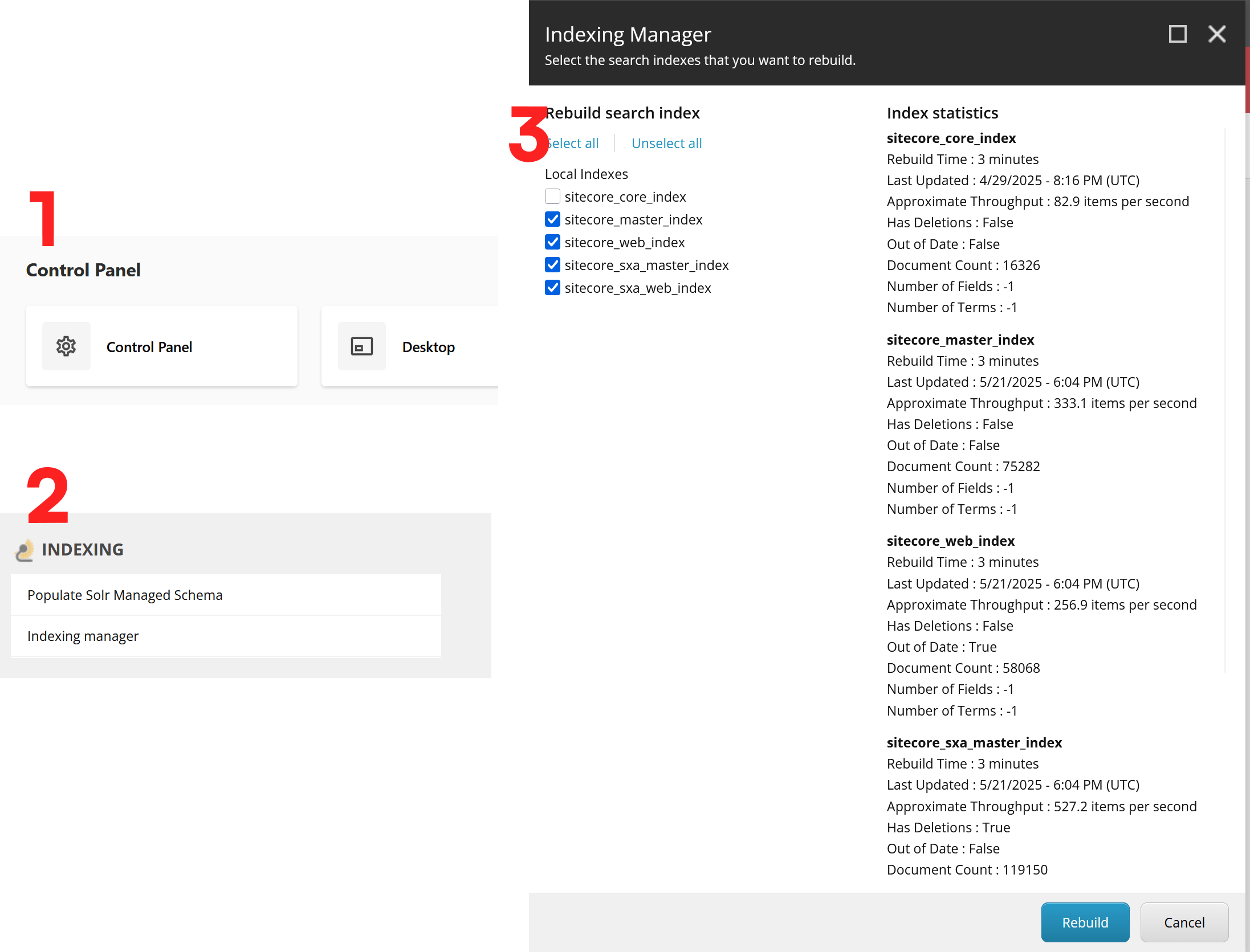 Steps to open Sitecore Indexing Manager and rebuild indexes