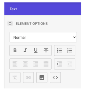 Sidebar showing text formatting options such as bold, italic, and alignment in the rich text editor.