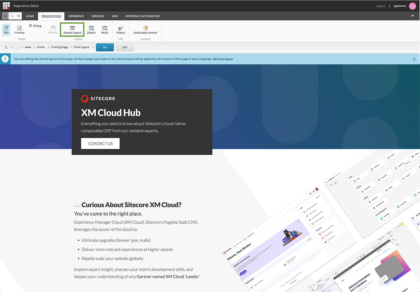 Sitecore Experience Editor Shared Layout