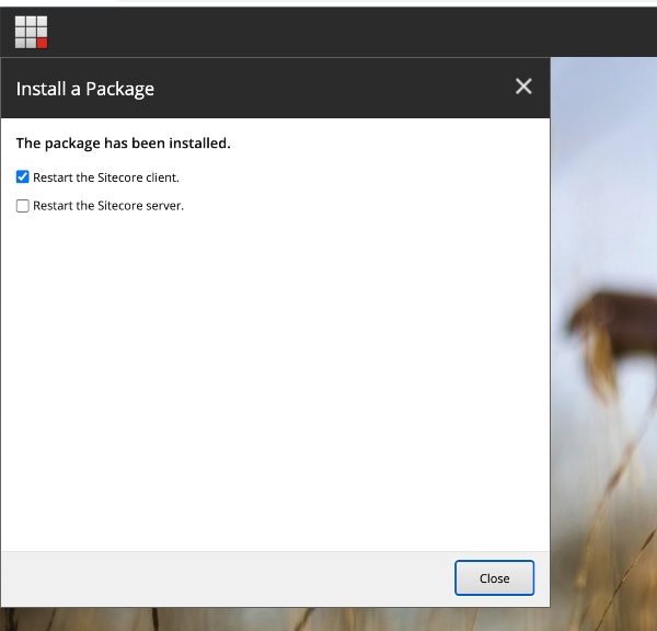 Restart the Sitecore client after the package has been installed in Sitecore