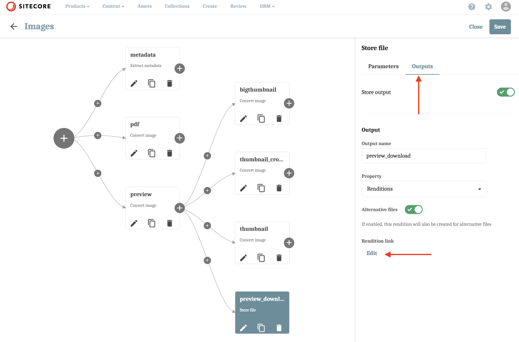 Removing Unwanted Renditions in Sitecore Content Hub