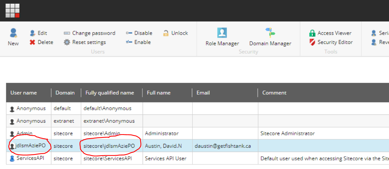 Sitecore Identity Server encountering malformed and random usernames