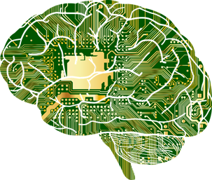 Circuit board brain