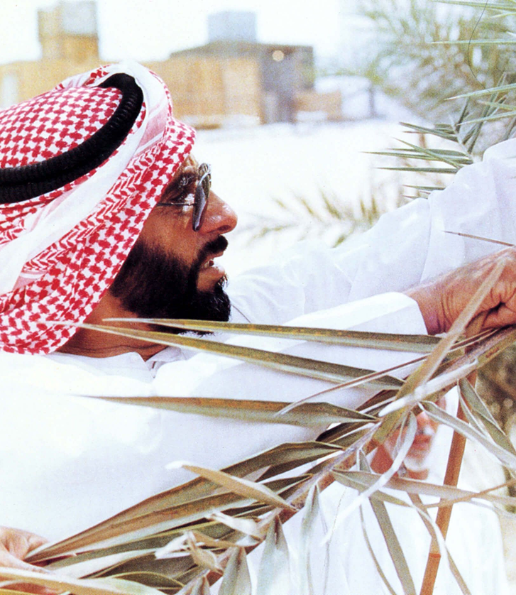 Homepage [erthzayed-homepage-test.vercel.app]
