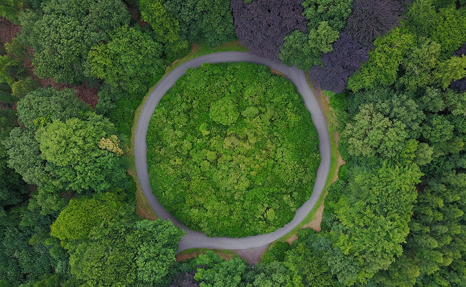緑豊かな森の中の円形道路の鳥瞰図