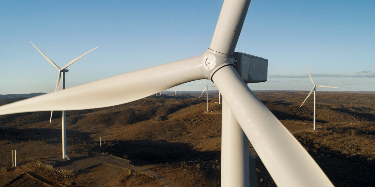 Windfarm wind turbine