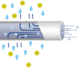 Hollow fiber POU filters