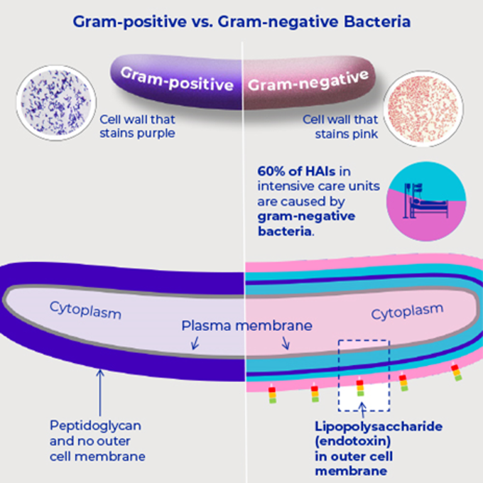 pall-medical-IV-in-line-key-insights-endotoxins